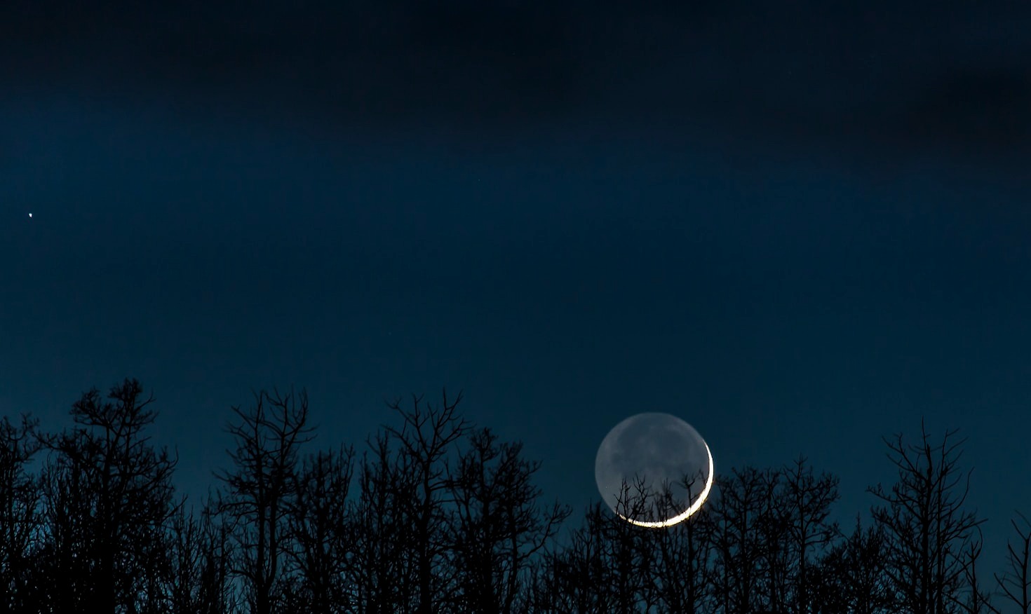 Tips for Home Educating Neurodivergent Children